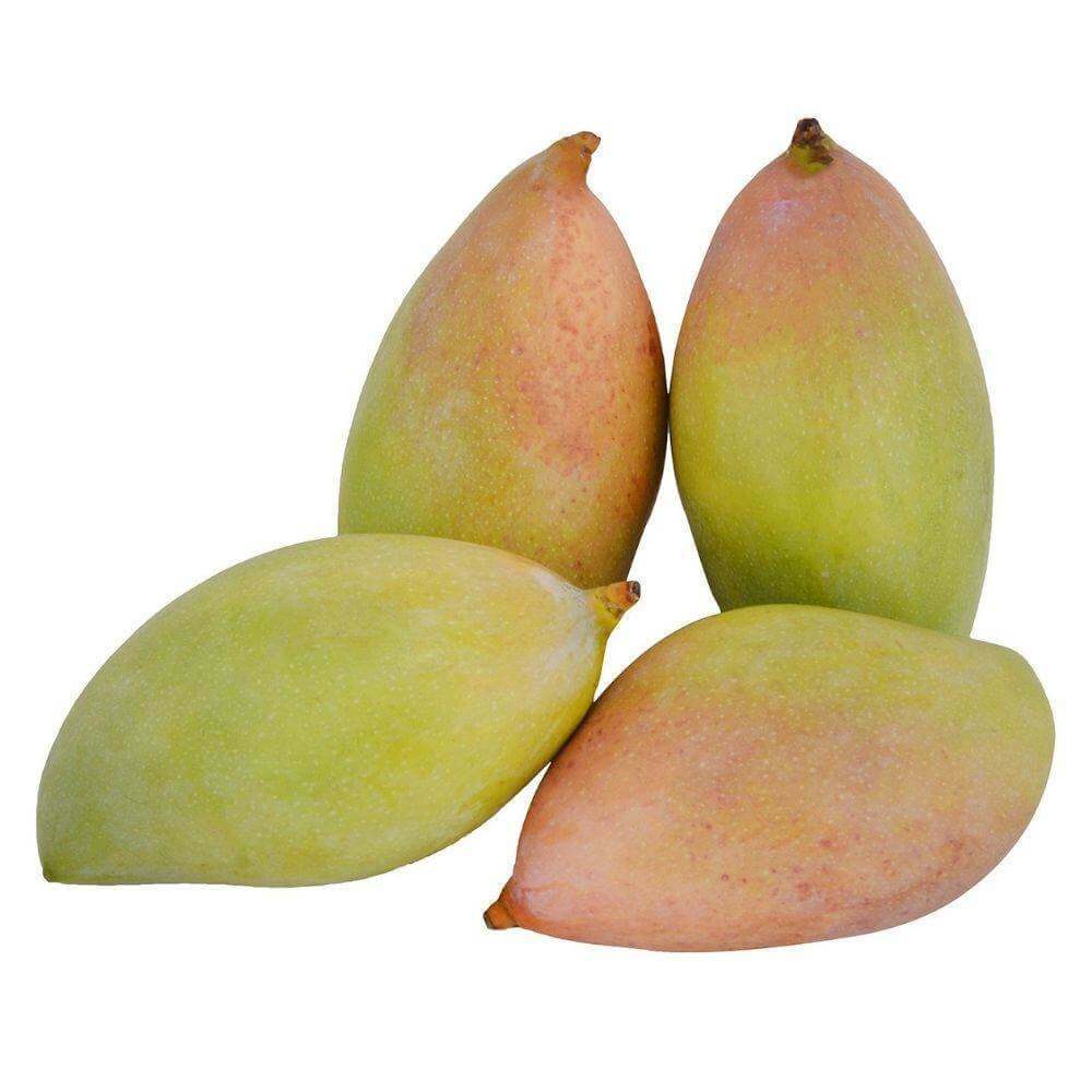 Totapuri Organic Mangoes
