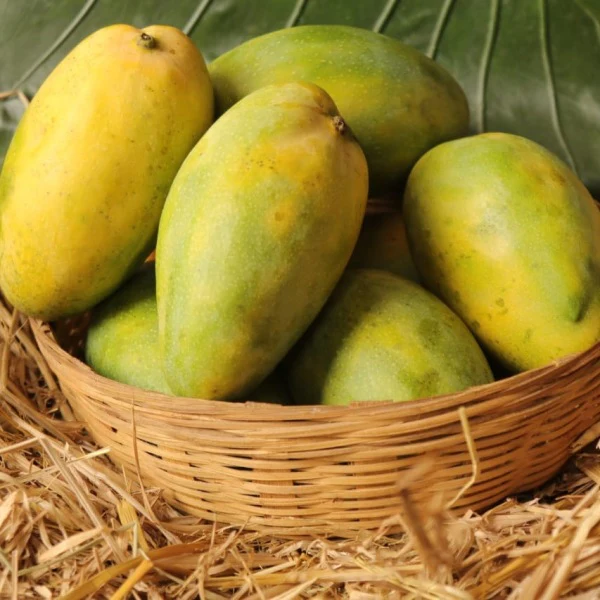 Hemyth Organic Mangoes